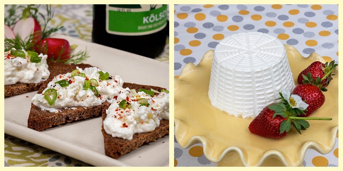 Ricotta versus Cottage Cheese