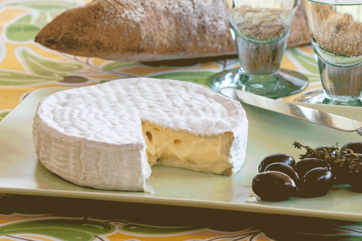 Superstar Cheeses of 2025