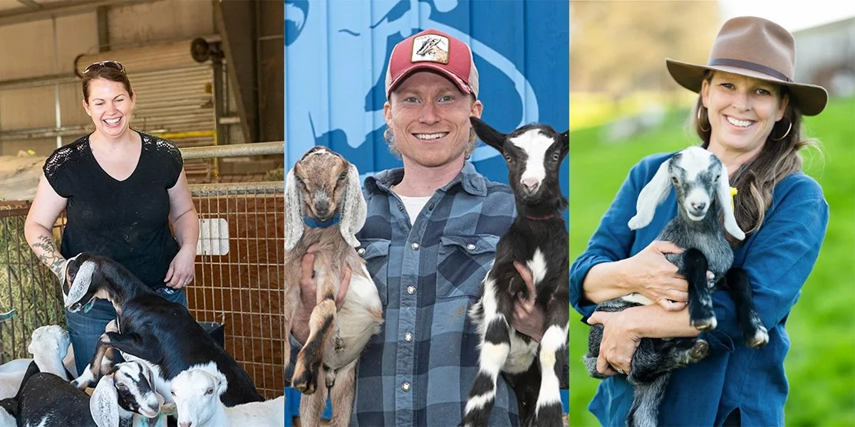 What's Next for Goat Cheese?