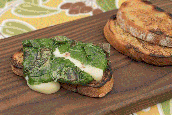Planet Cheese - End of summer recipes