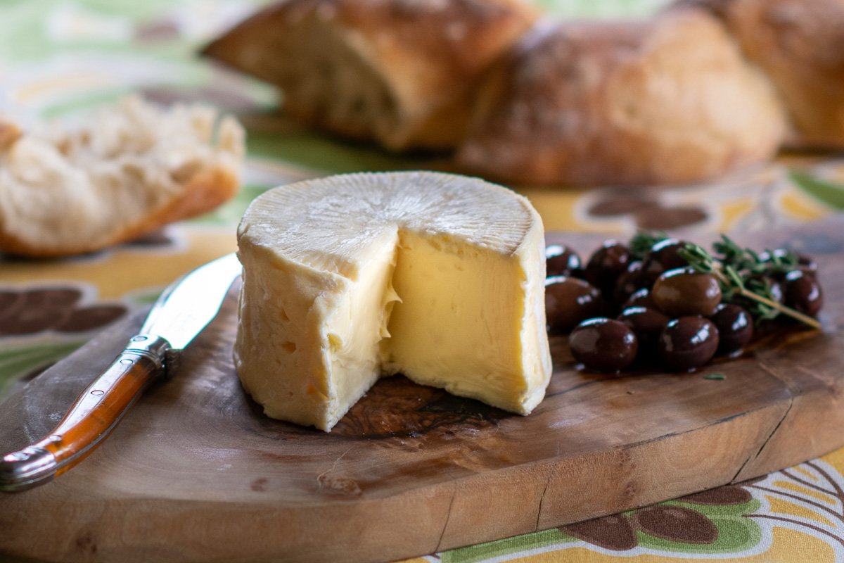 Swiss cheese — Planet Cheese — Janet Fletcher