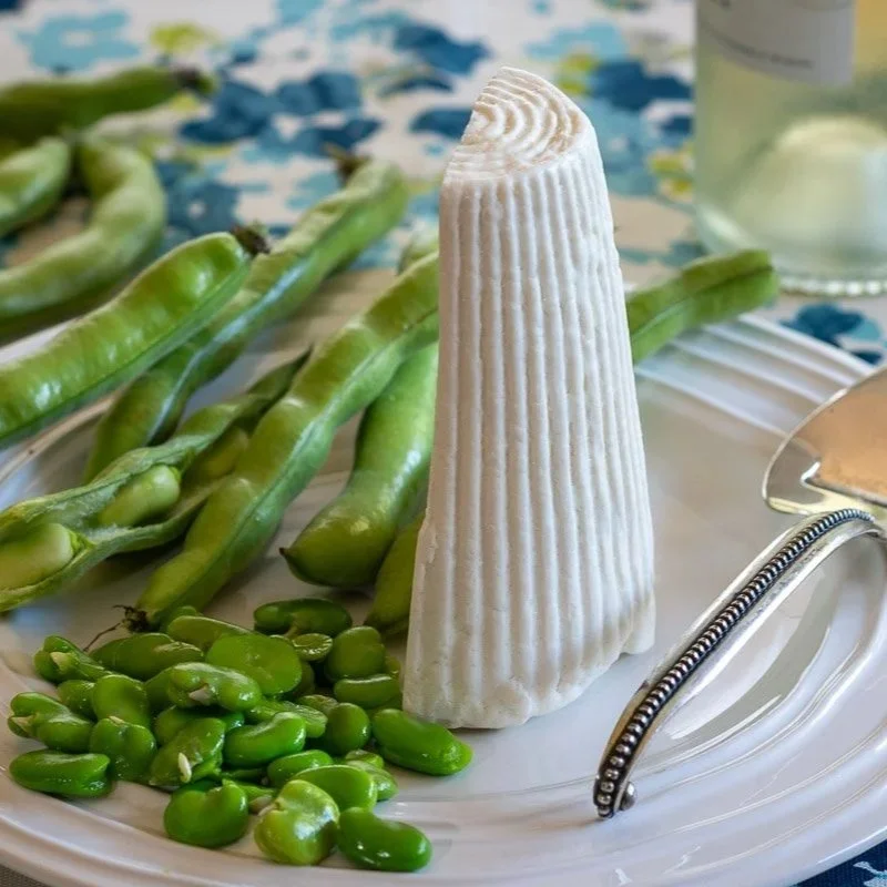 Ricotta Salata with fava beans
