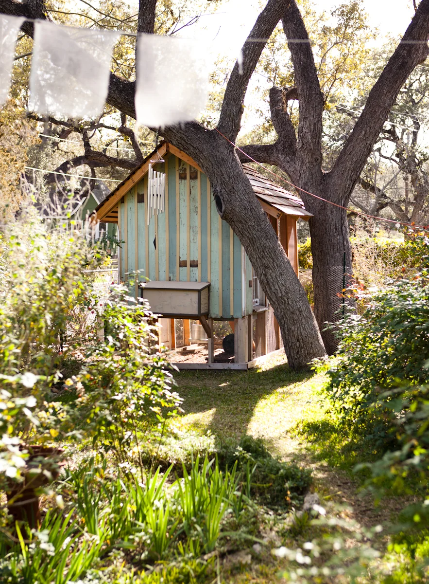 Photo of our chicken coop, by Buff Strickland