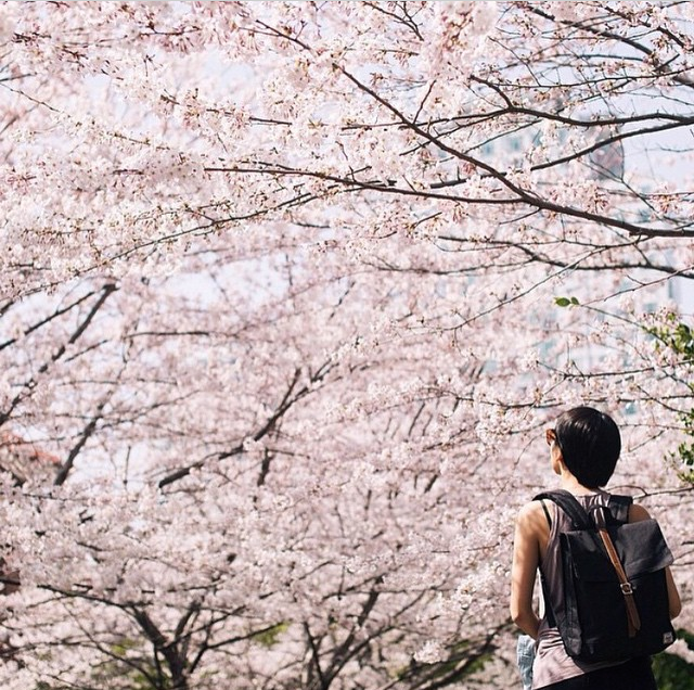 Photo by @cecyyoung via @dametraveler