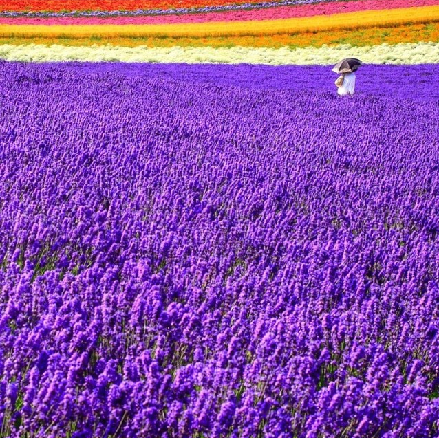 Photo by @0zj0 via @dametraveler