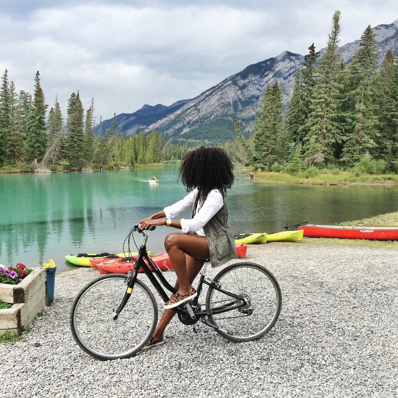 lee in canada