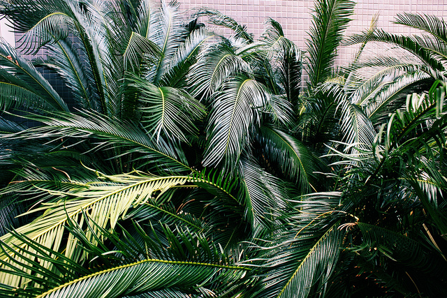 Photo via Tumblr