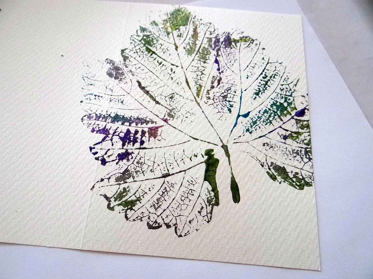 grapevine leaf