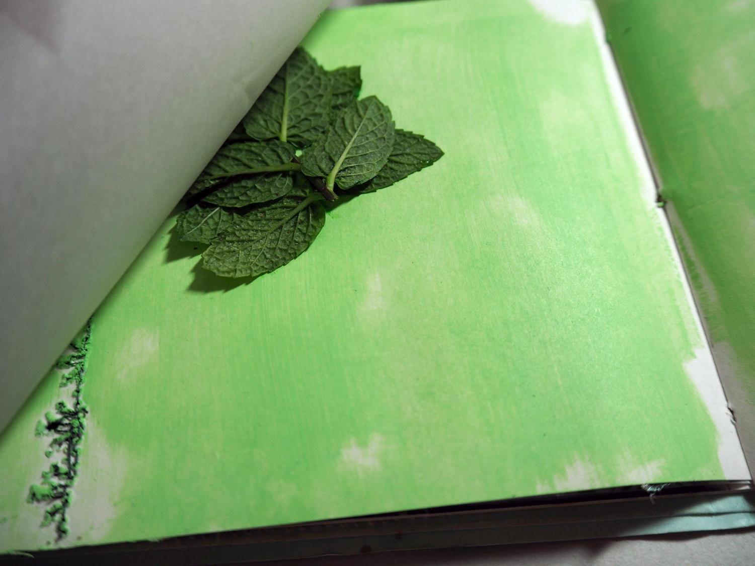 MUSE30 #5: MINT