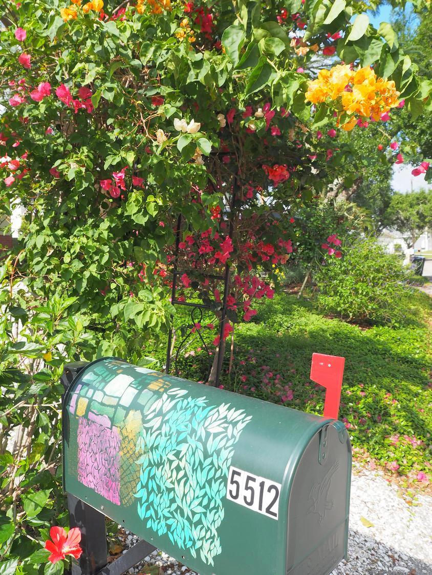 My mailbox. It's been busy lately! 