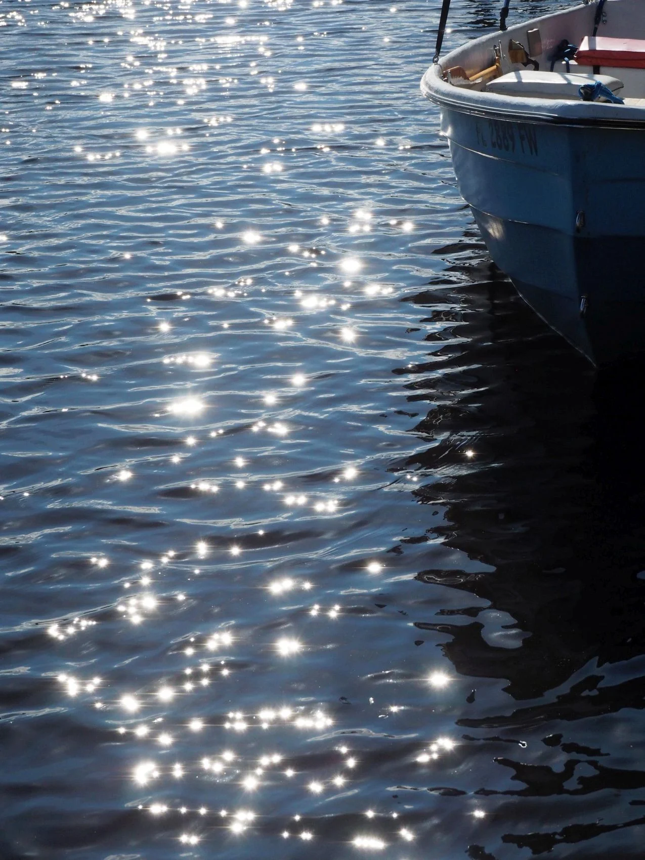 _PA100529.jpg