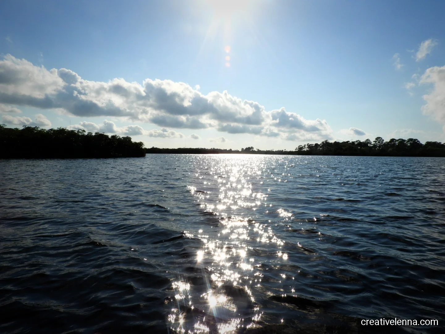 DSCN6505.jpg