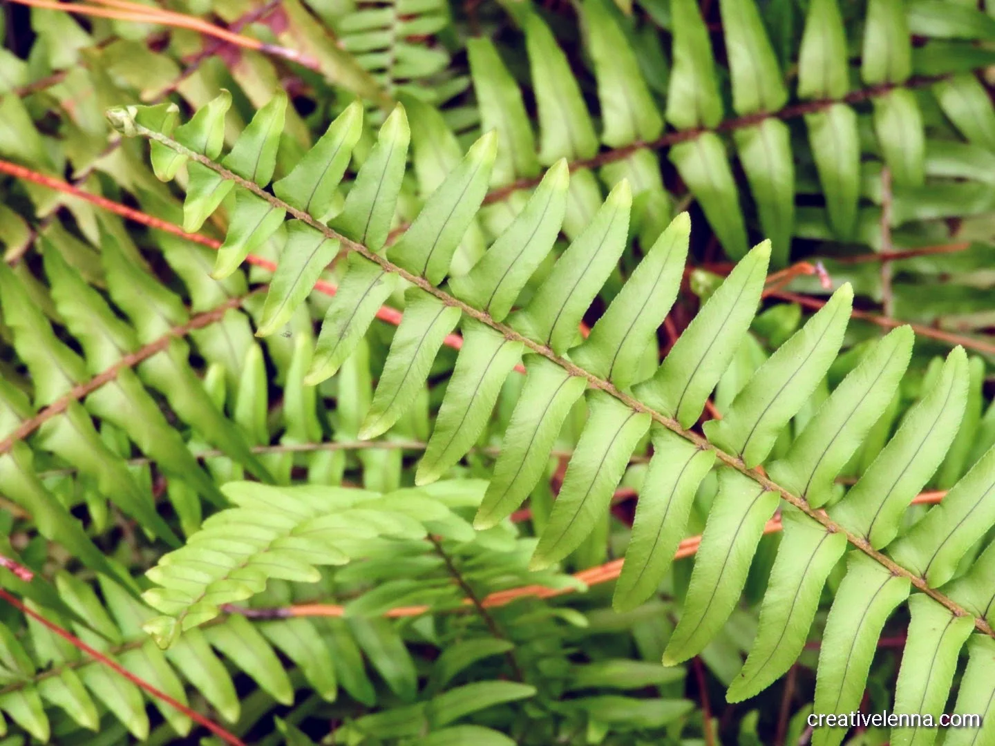 Two icads, six 3x3's and one anniversary! 