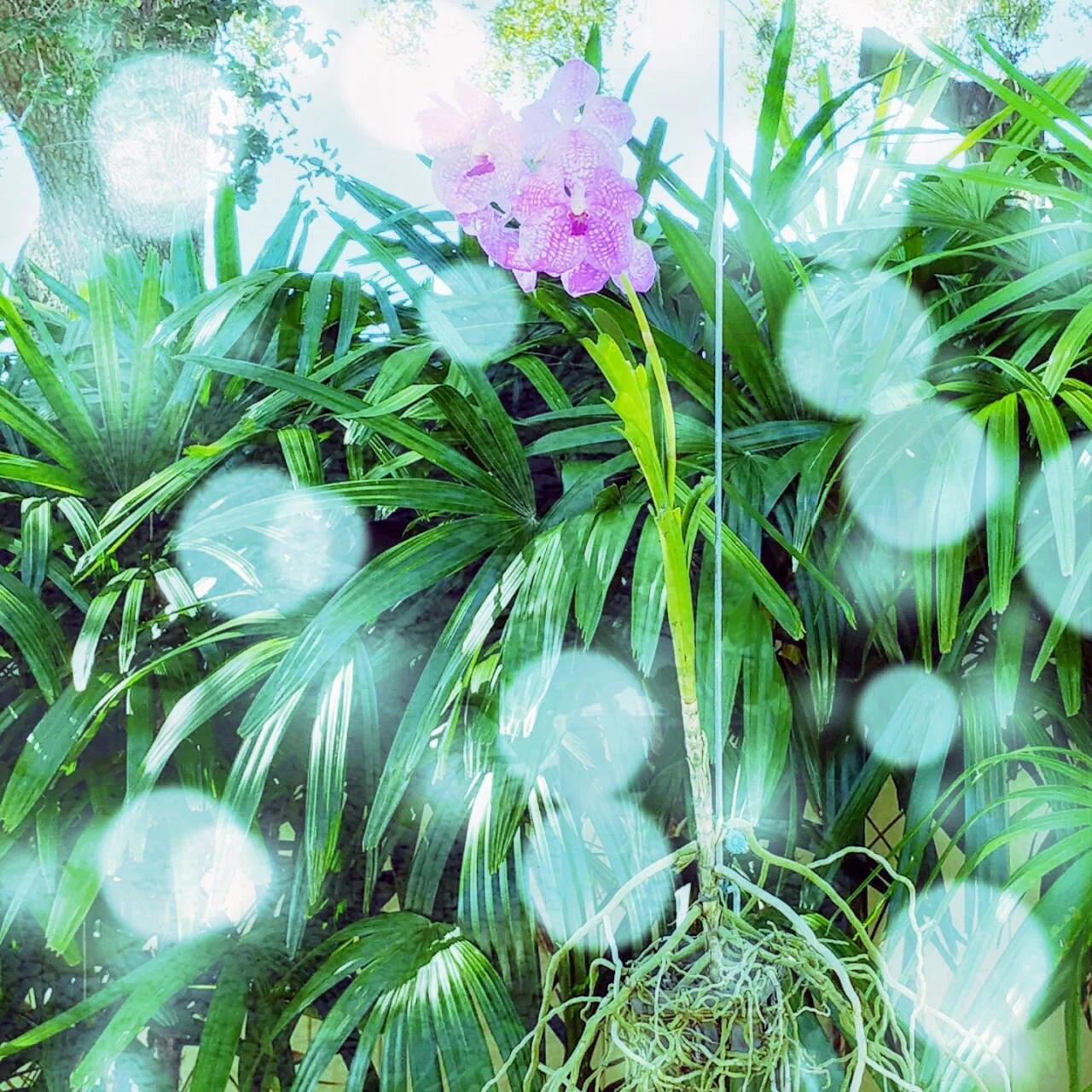 a new year - thank goodness