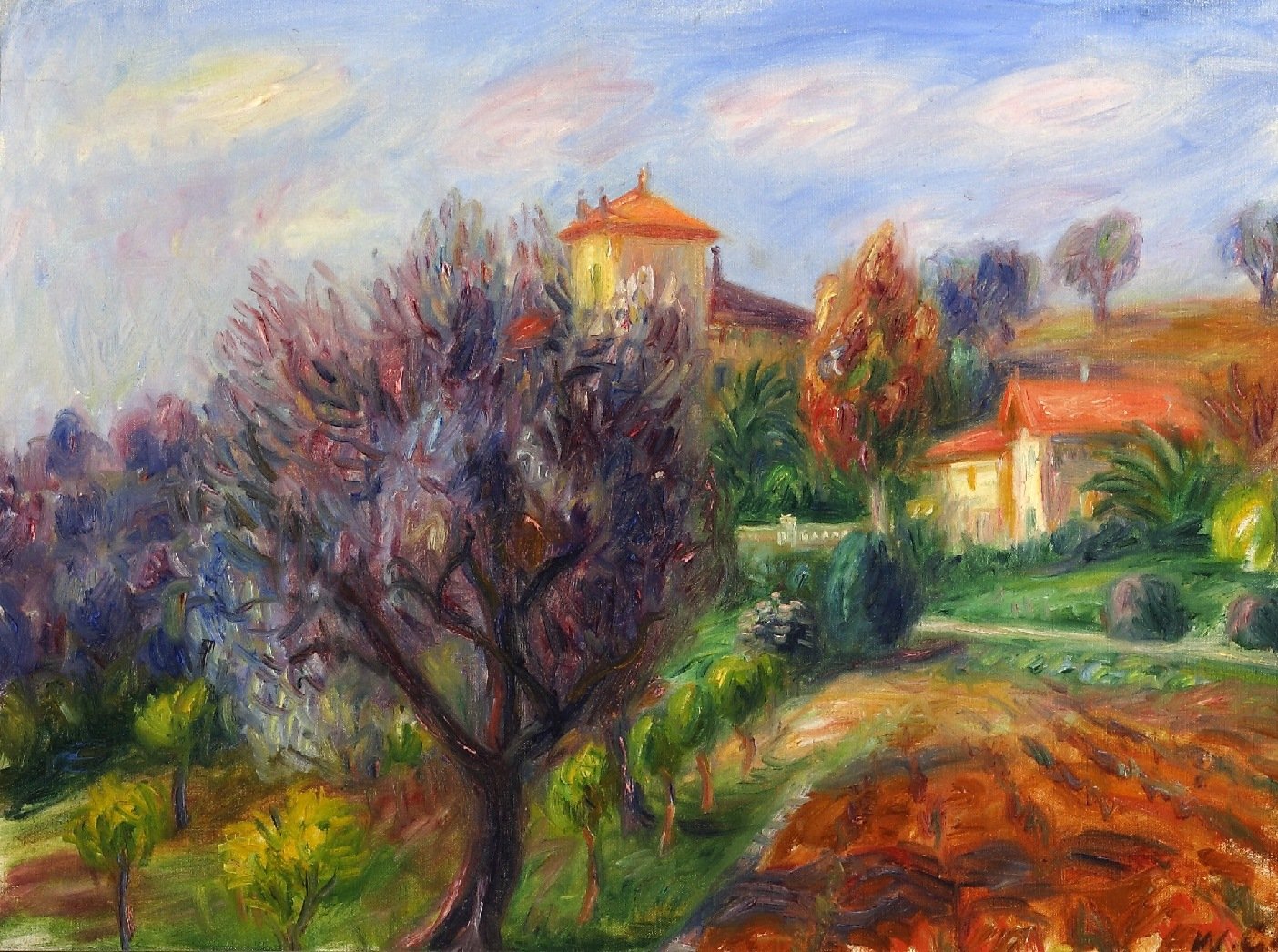 Hillside with Olive Trees