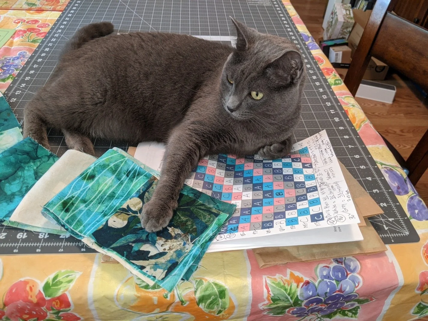 10/29/20 Luna helping!
