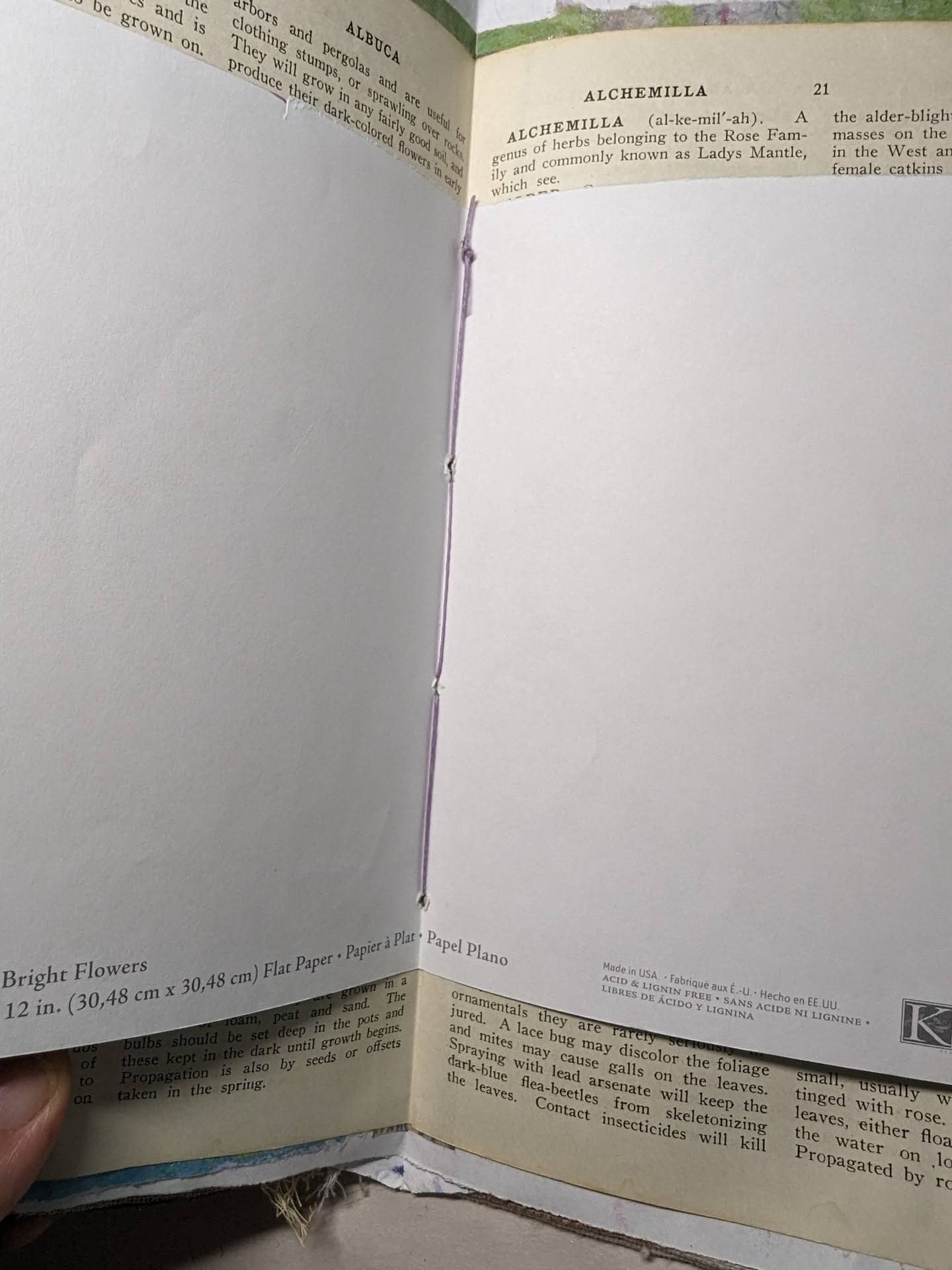 Signature in blank Scrap Journal