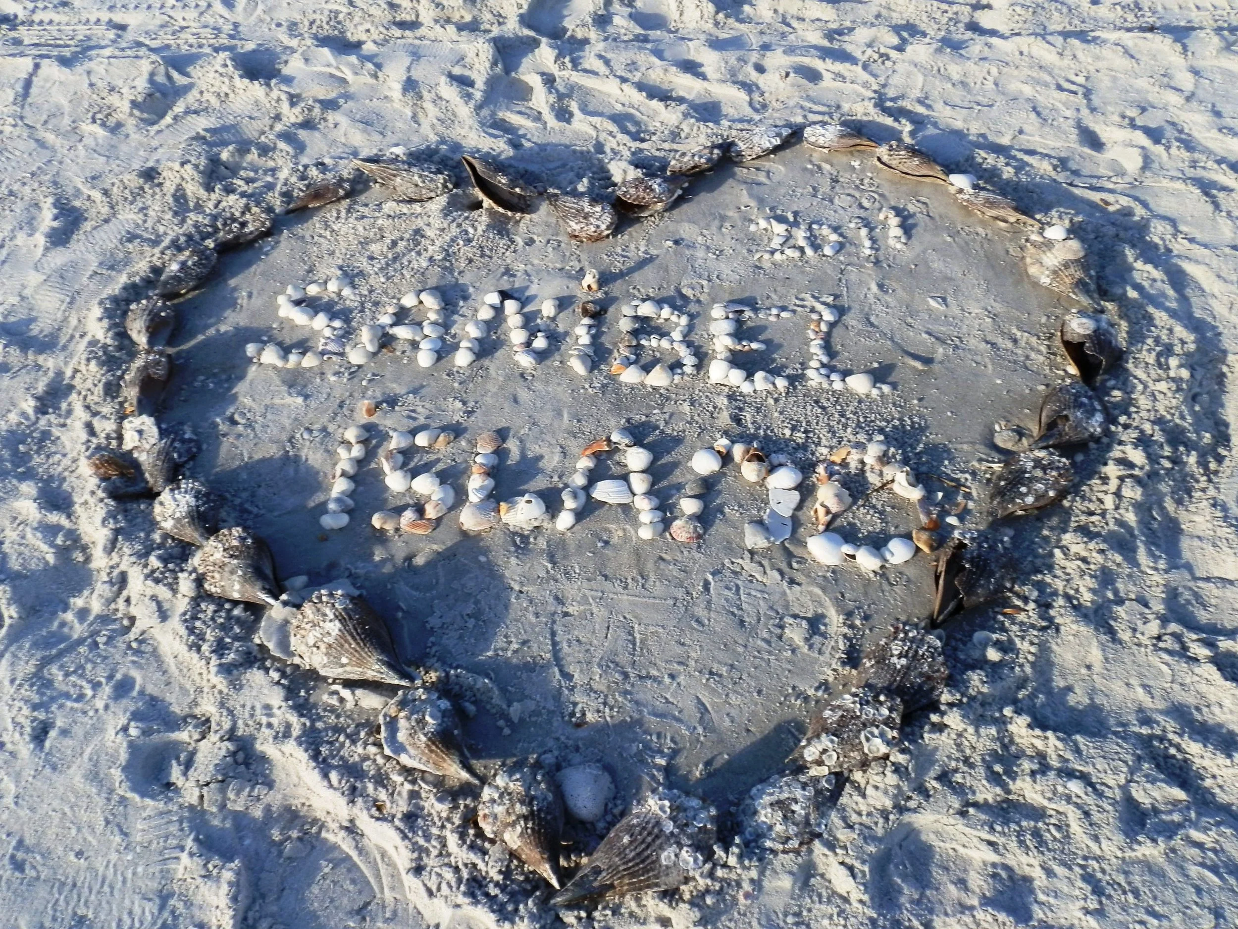 Sanibel Sweethearts