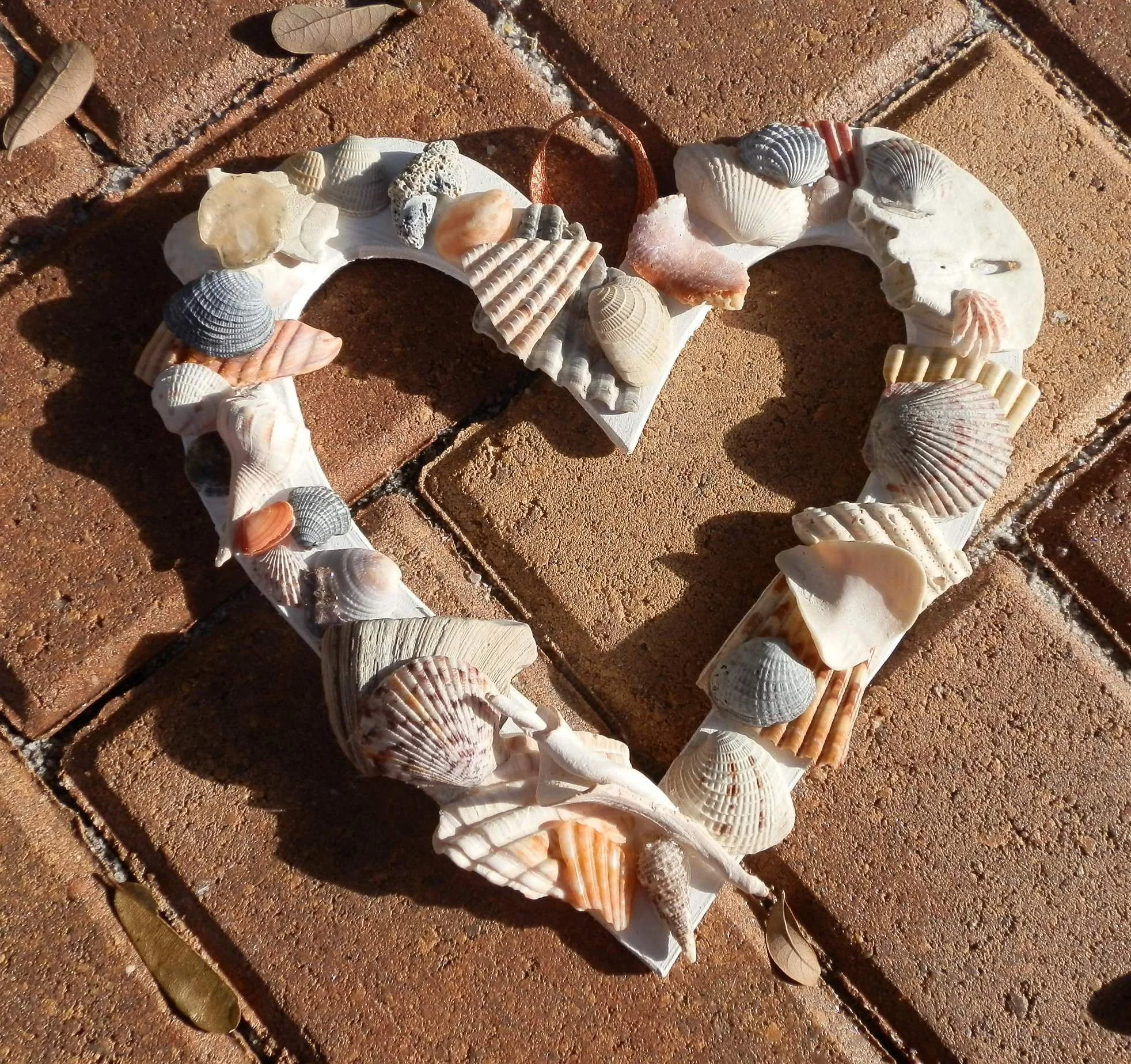 shells of love