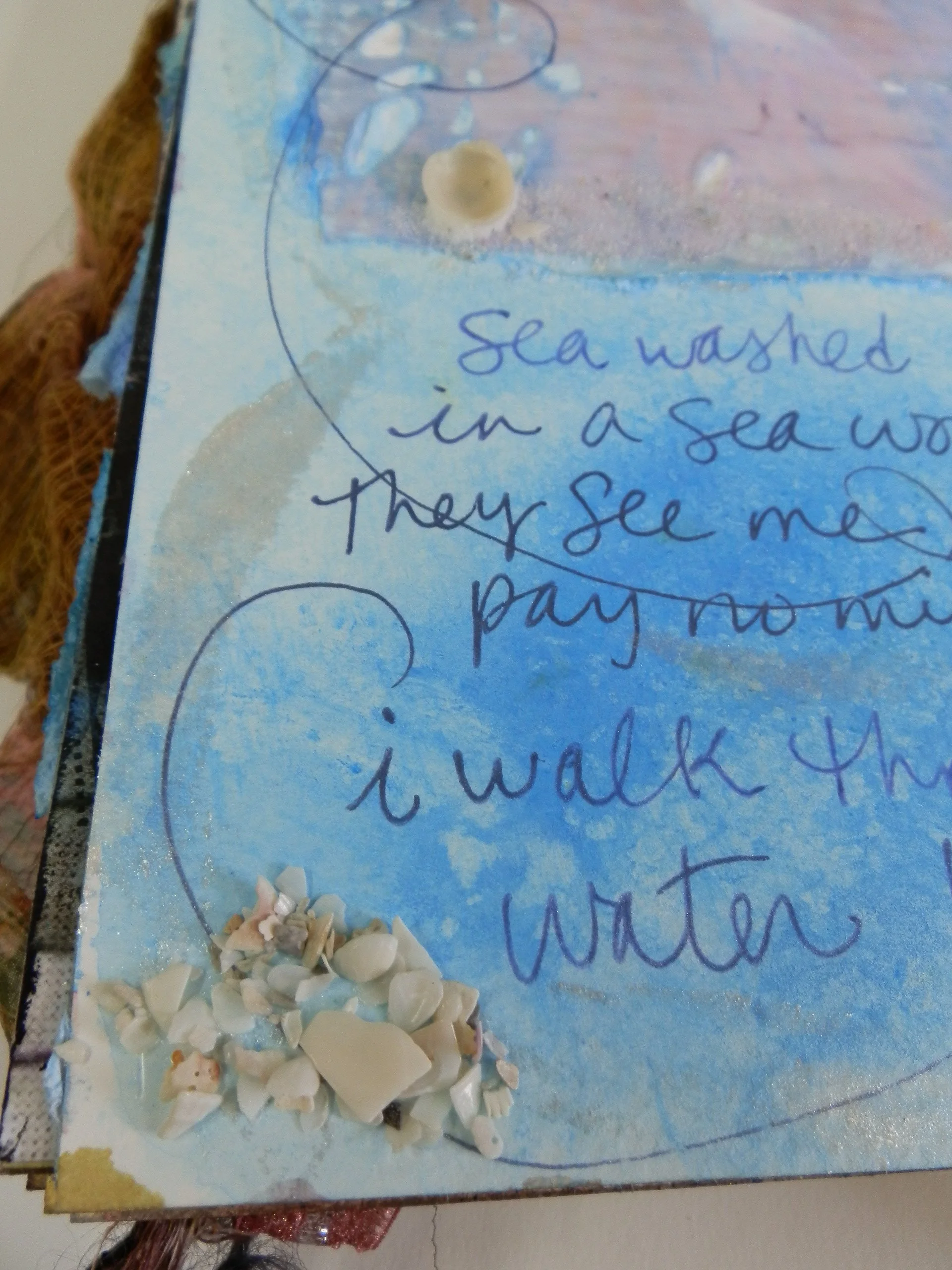 sea washed sea birds in my journal
