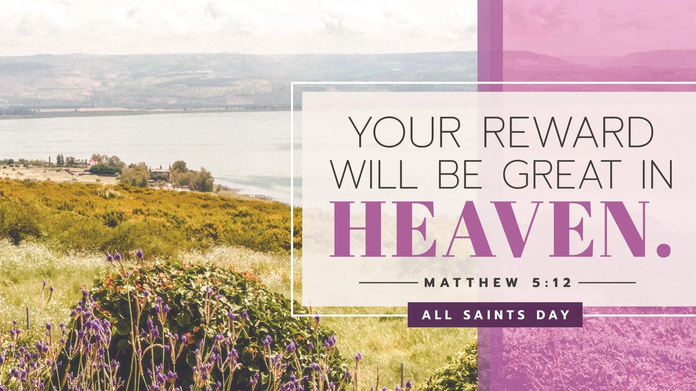 A667AllSaints_Immerse26_EN_Hlf_4c.jpg