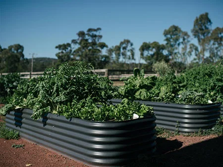 containedmelbourne.jpg