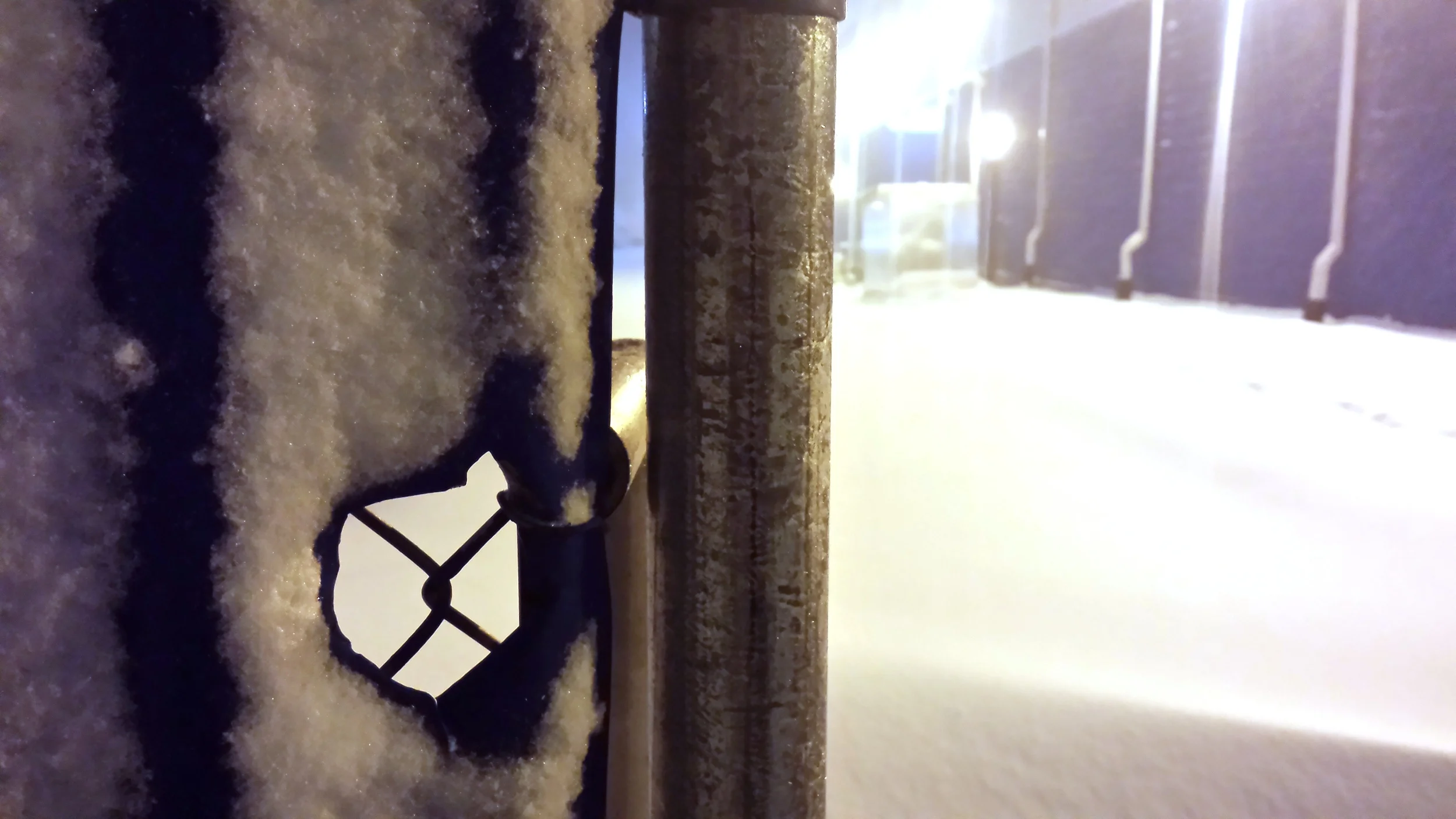 20150126_180407_LLS.jpg