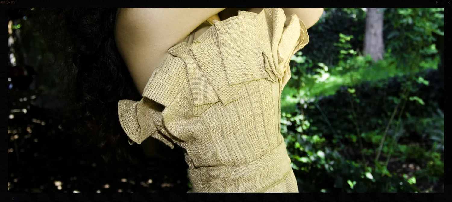 Final Dress 2.jpg