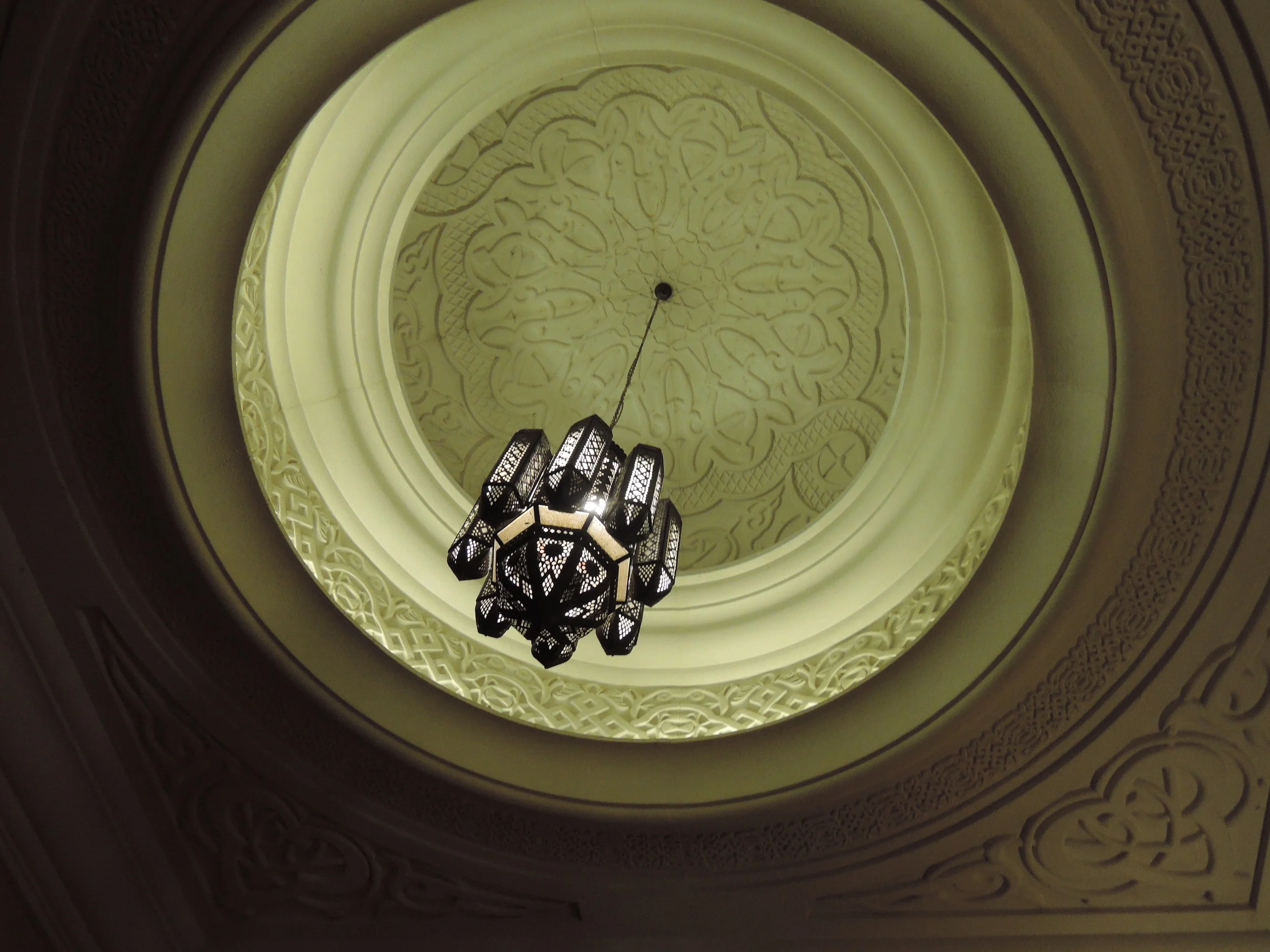 DSCN6915.jpg