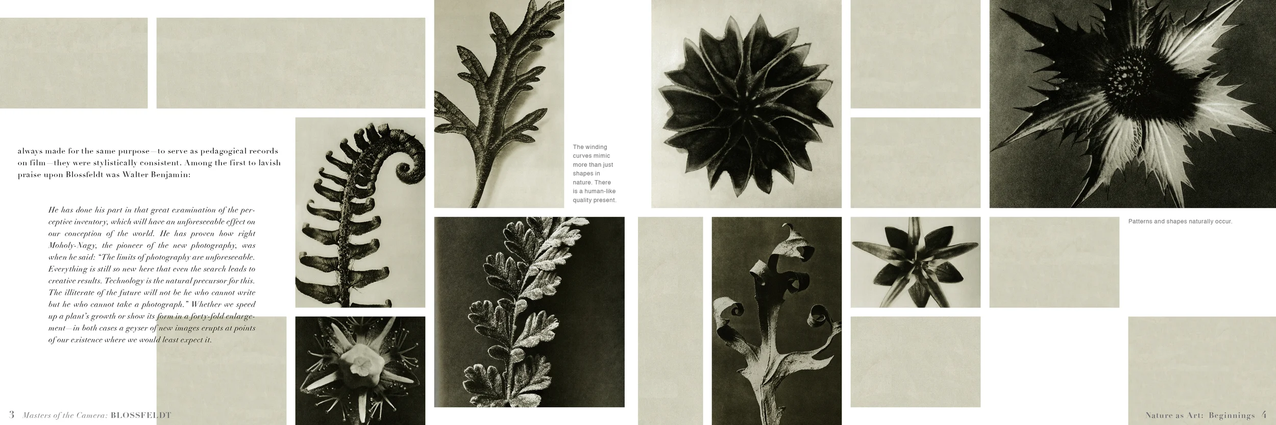 Nation_Book 3_Interior Pages5.jpg