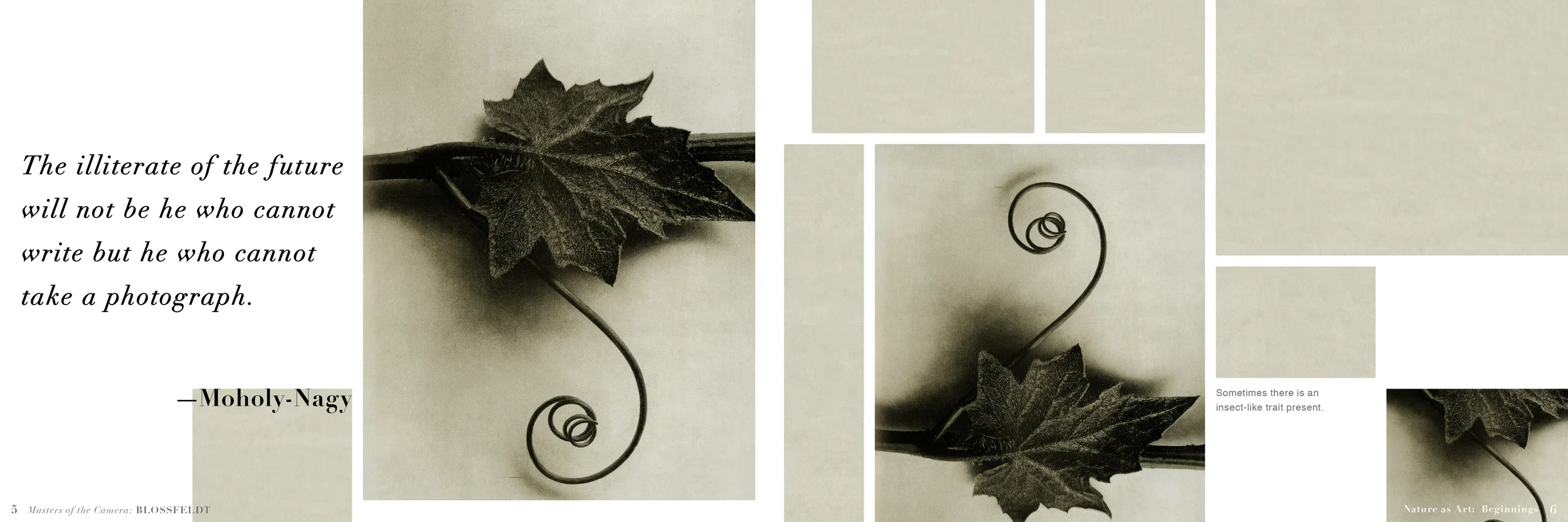 Nation_Book 3_Interior Pages6.jpg