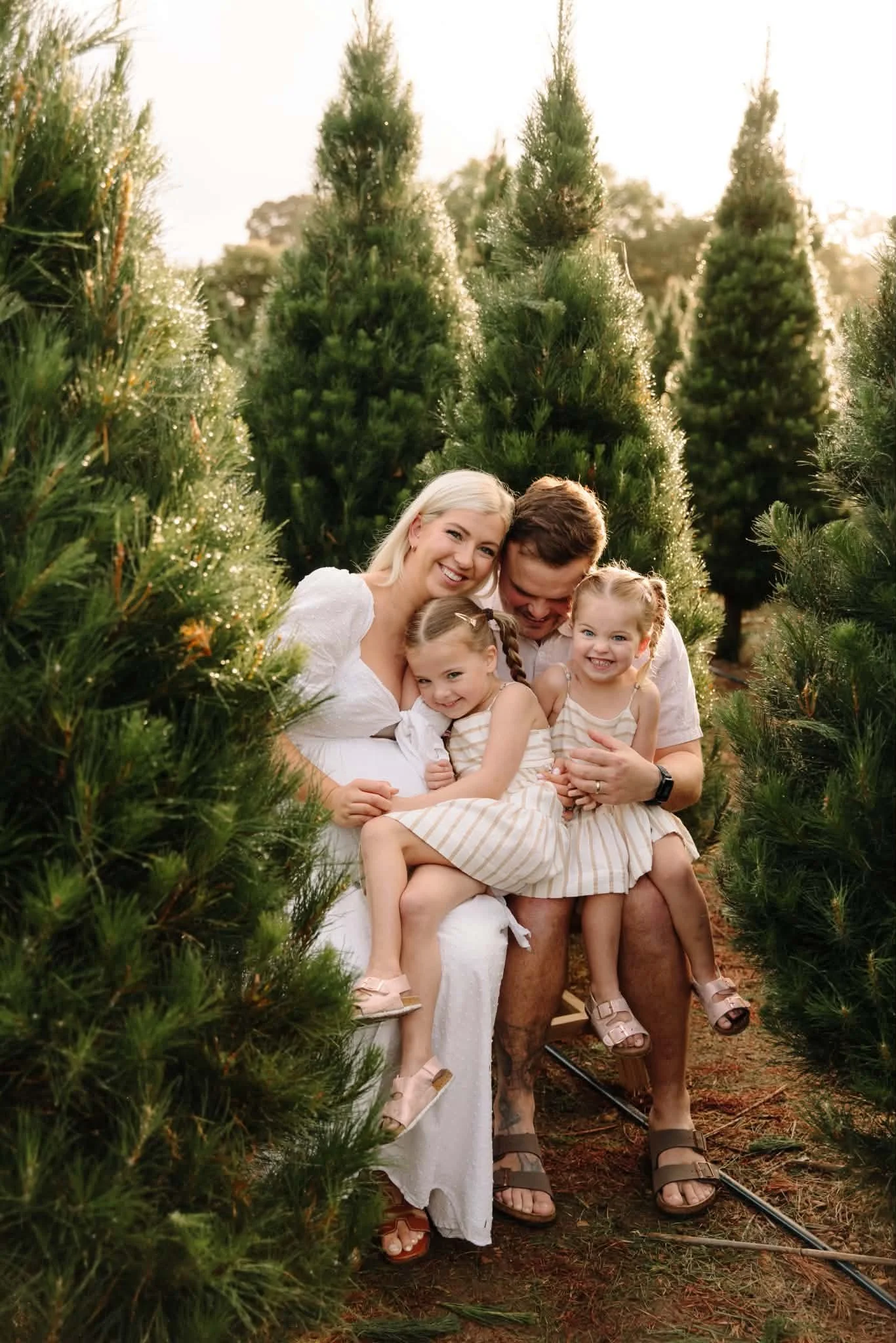 dural-christmas-tree-farm-photographer.jpg.jpg
