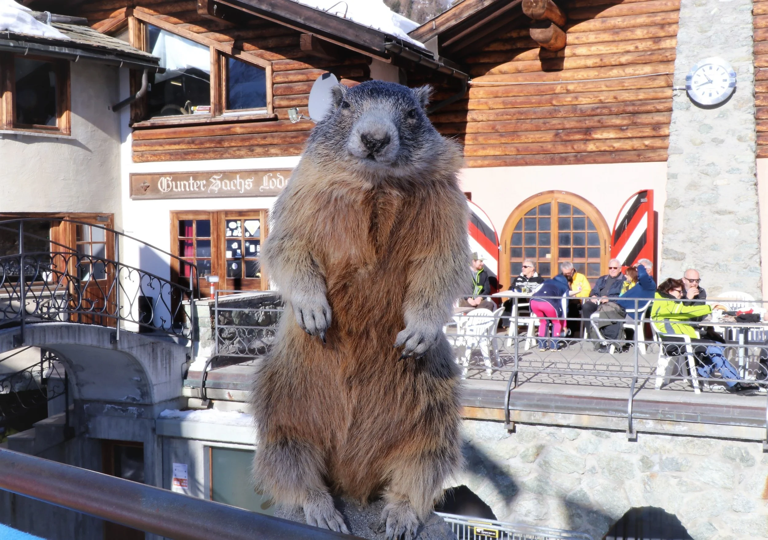 Jean Jacques Buff, Alexander Bringolf, Team Kranz und Team Rohner gewinnen die Marmottin Trophy