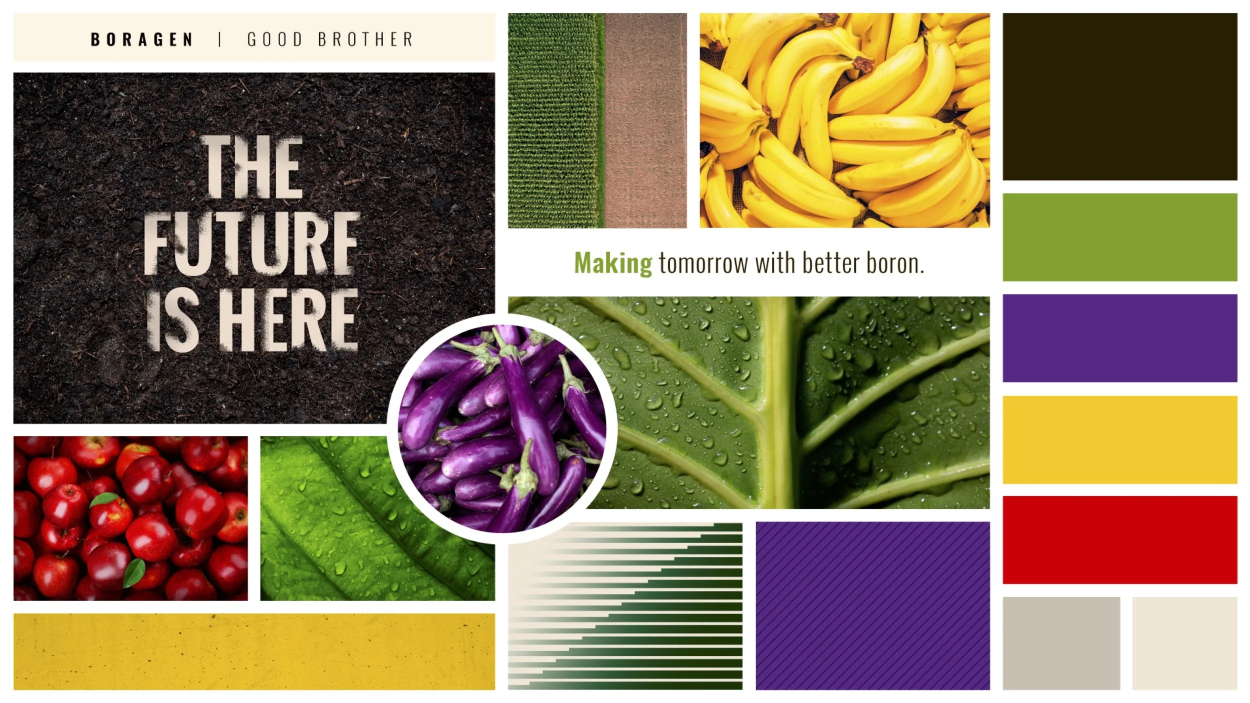 Boragen Moods Good Bro.jpg