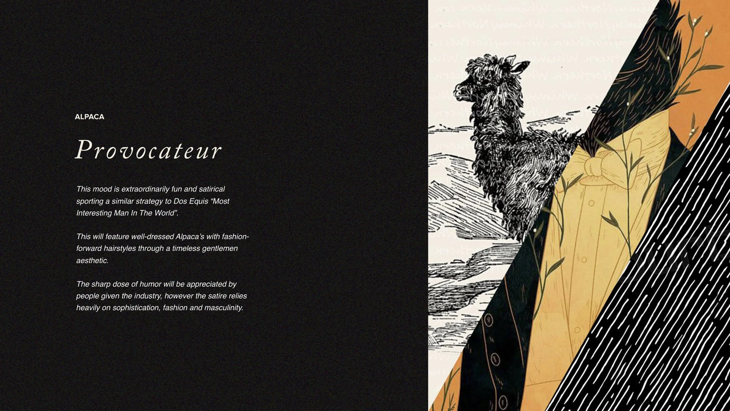 Alpaca Herbz Naming FINAL CONCEPTS.jpg