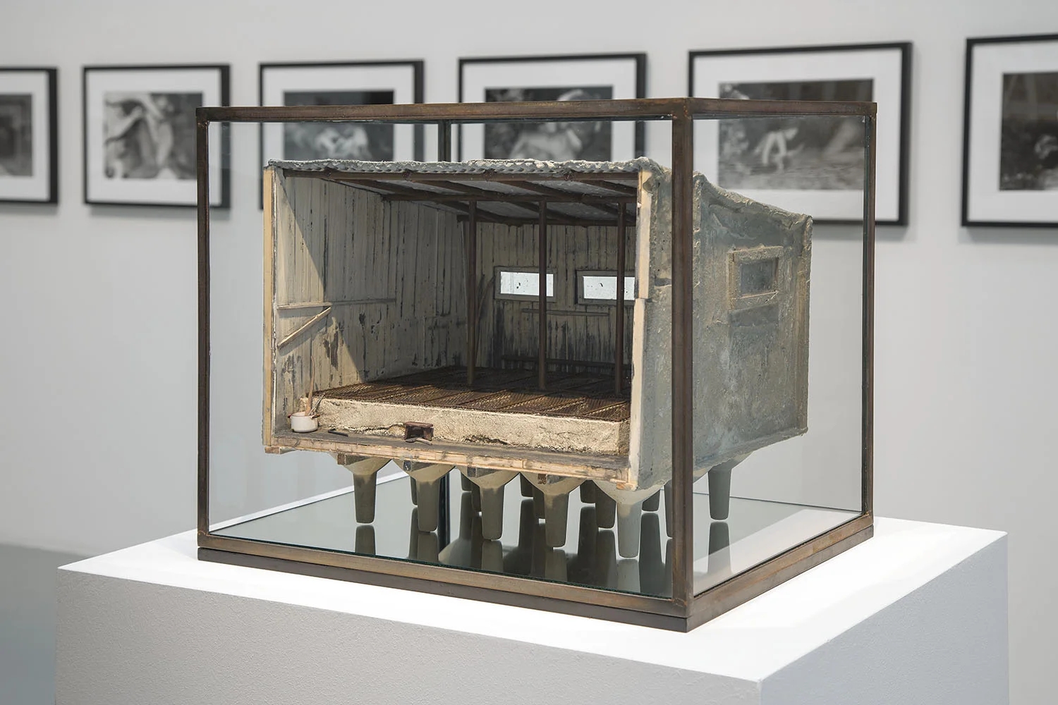andra ursuta - the encyclopedic palace central pavilion, 55th venice biennial 2013