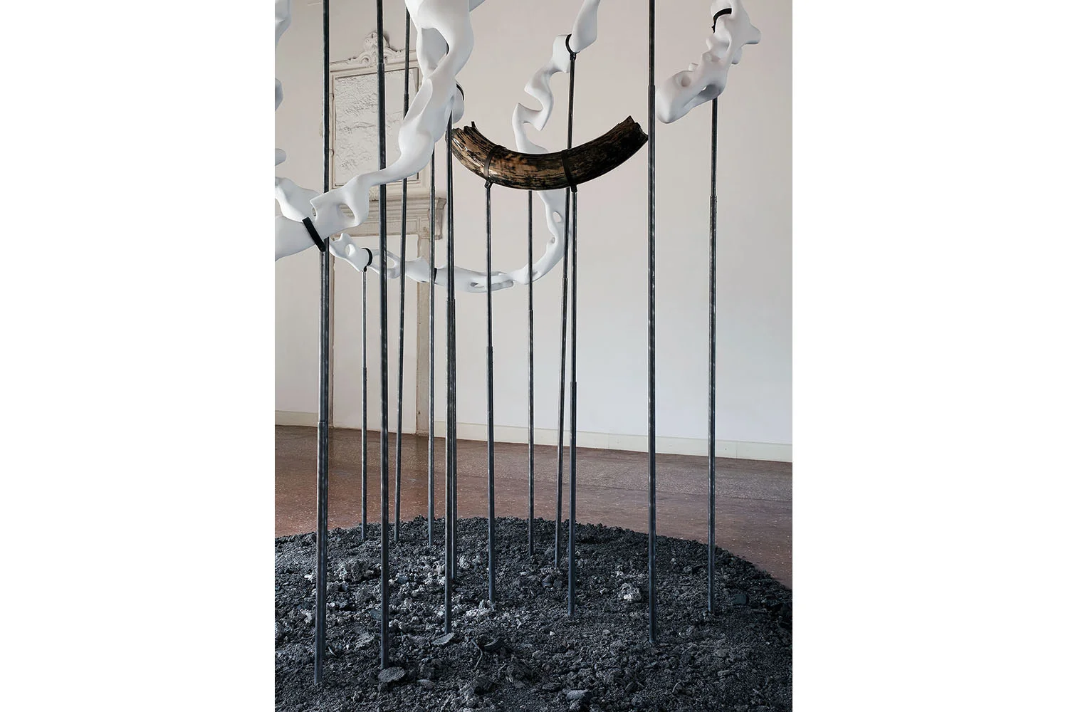 anton ginzburg - at the back of the north wind palazzo bollani, 54th venice biennial 2011