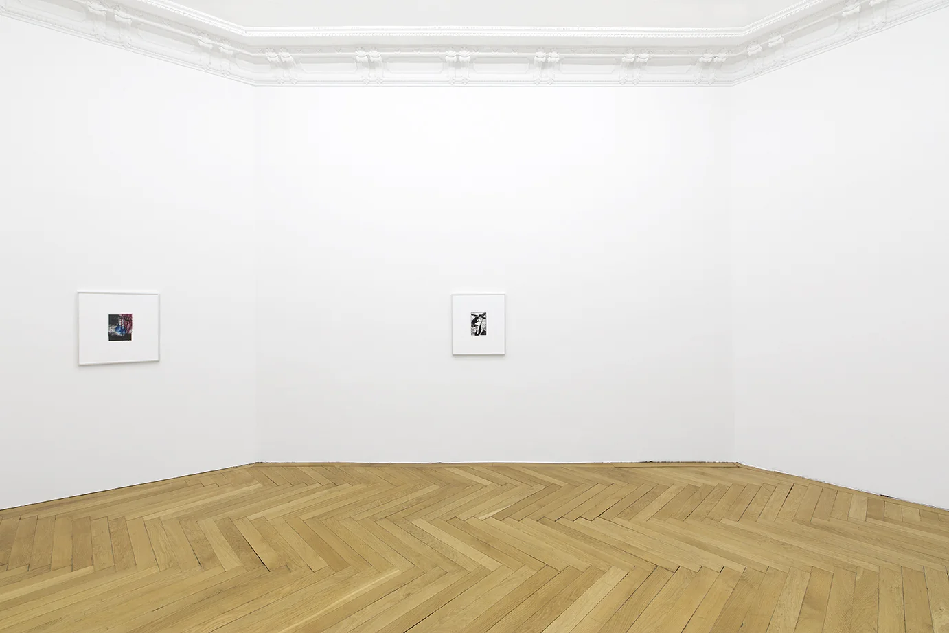 josh kolbo - a simulated future amid collapse société , berlin 2015