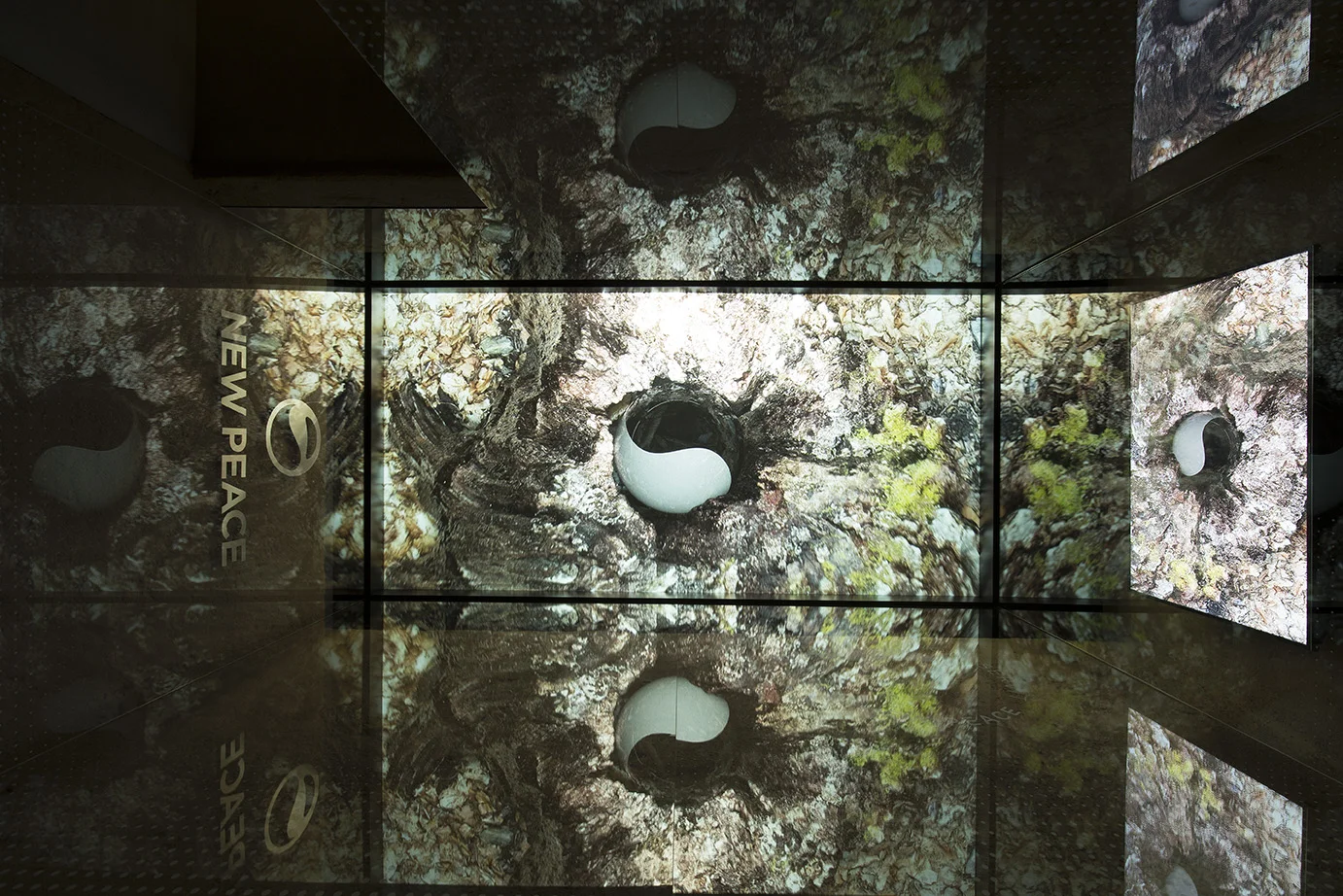 timur si-qin at societe, art basel 2016