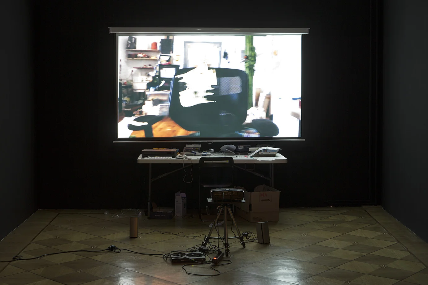 trisha baga - LOAF SOCIÉTÉ, Berlin, 2016