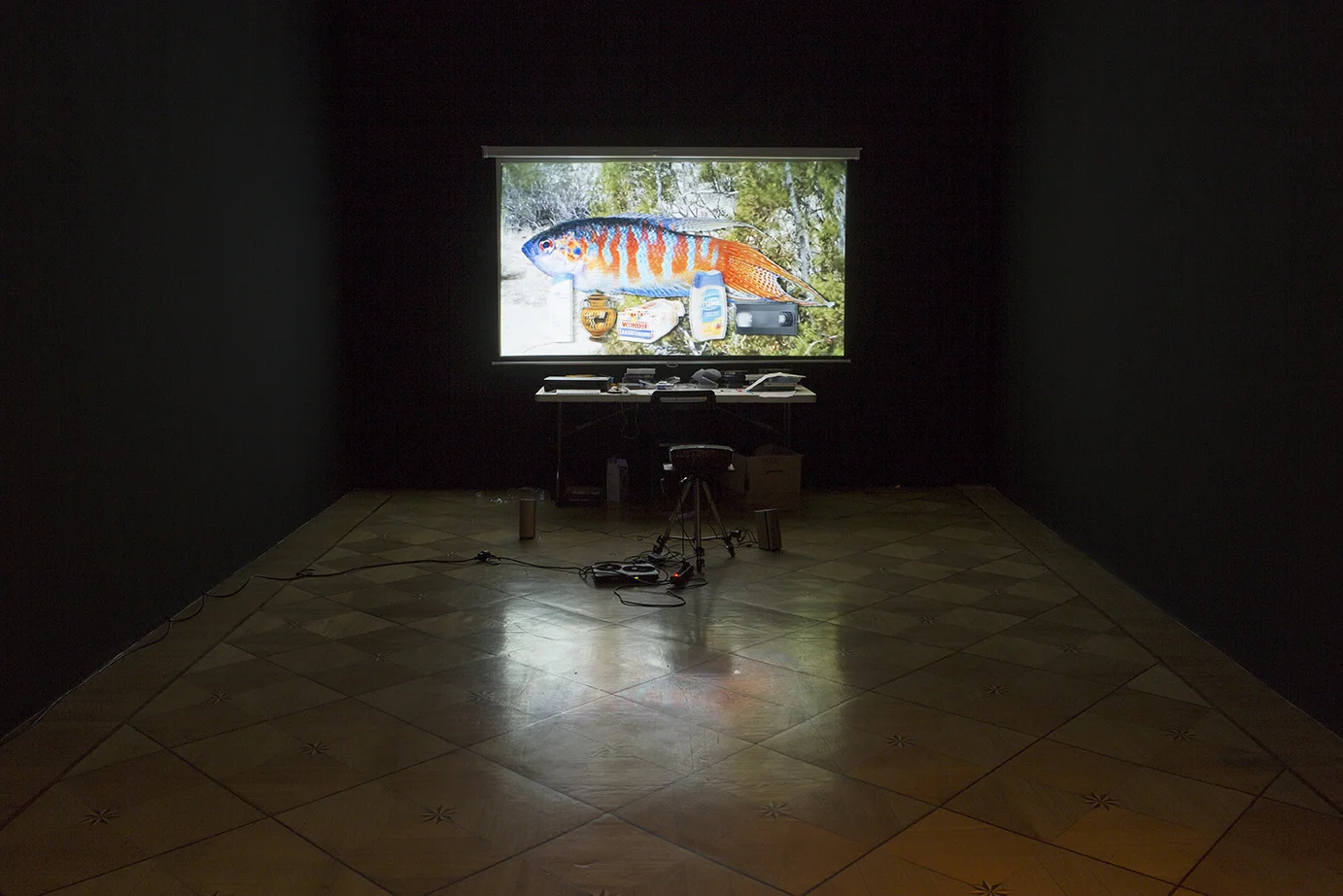 trisha baga - LOAF SOCIÉTÉ, Berlin, 2016