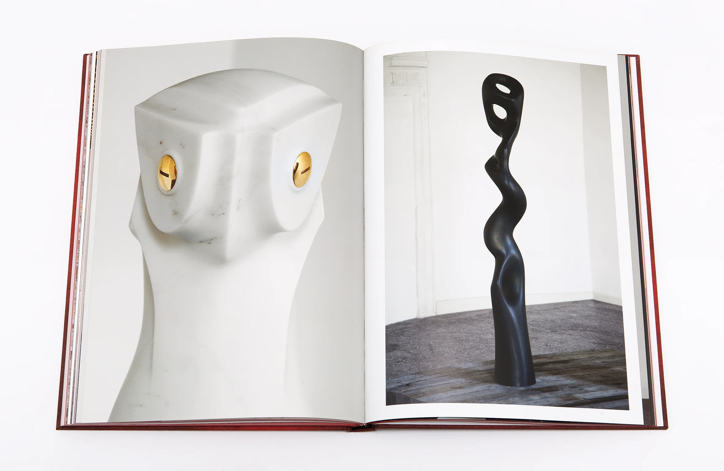 At the Back of the North Wind - Anton Ginzburg 54th Venice Biennial, Italy 2011 page xx xx