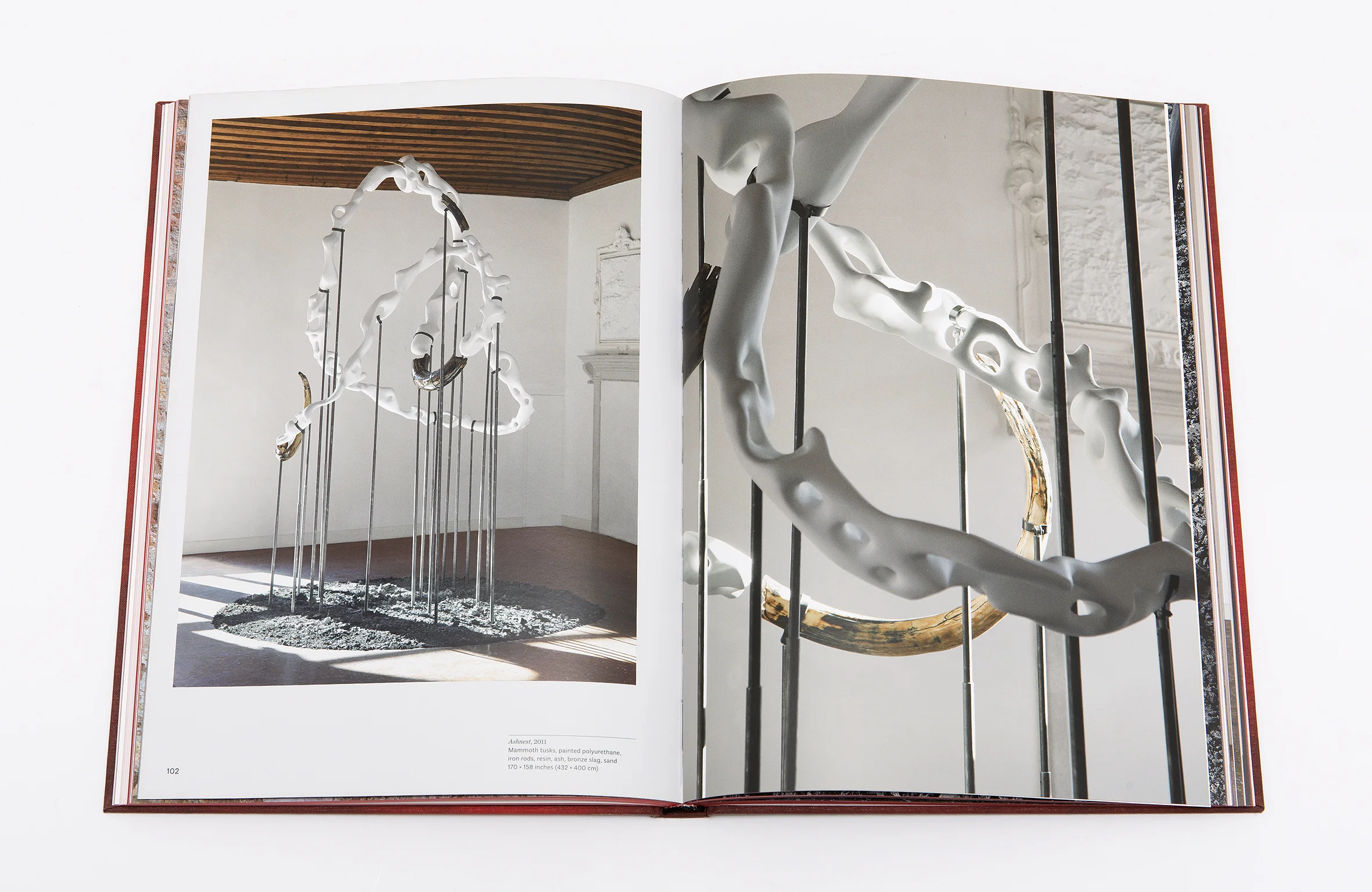 At the Back of the North Wind - Anton Ginzburg 54th Venice Biennial, Italy 2011 page xx xx
