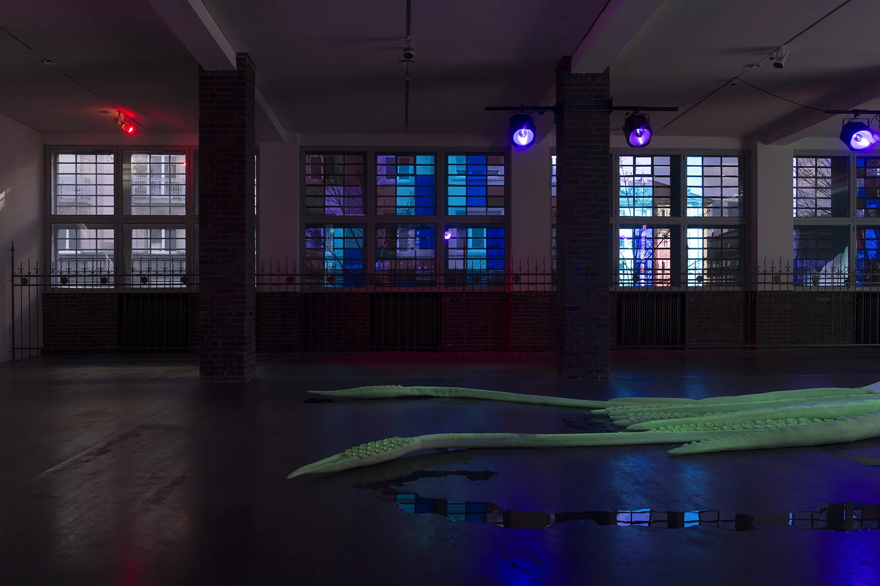 Bunny Rogers - Pectus Excavatum Zollamt MMK, Frankfurt am Main, 2018