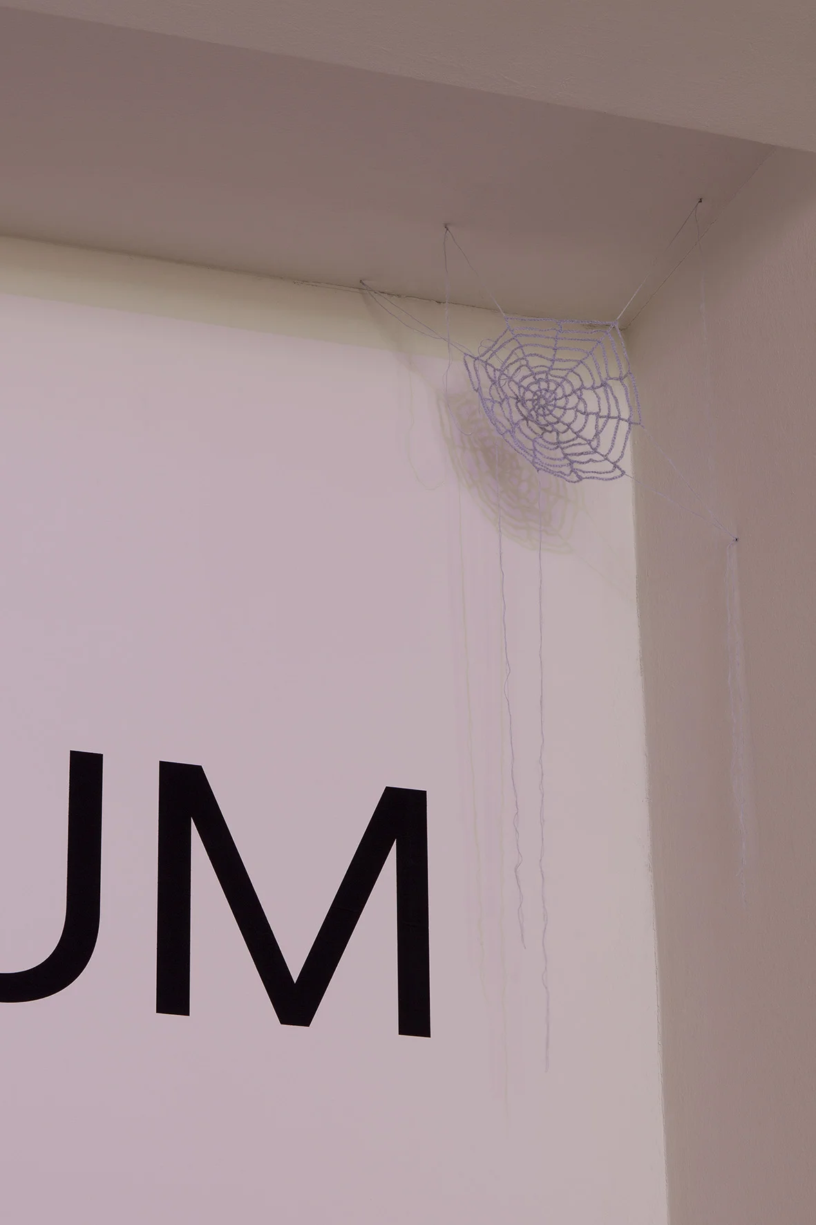 Bunny Rogers - Pectus Excavatum Zollamt MMK, Frankfurt am Main, 2018