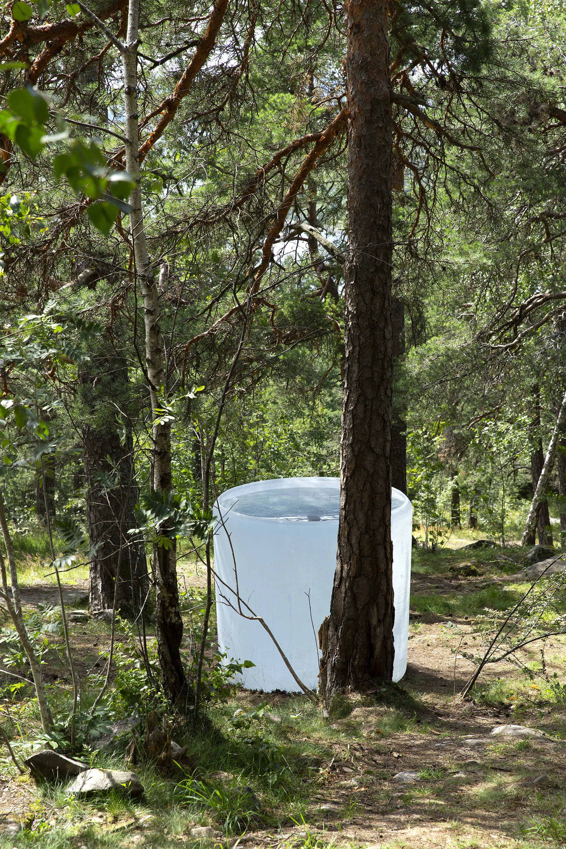 Roni Horn - Air Burial (Oslo) Ekebergparken, Oslo, 2019 © 2019 Roni Horn - Courtesy the artist