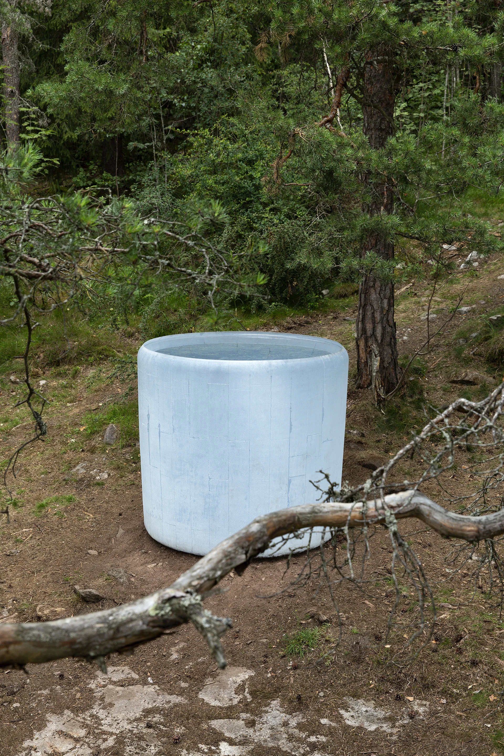 Roni Horn - Air Burial (Oslo) Ekebergparken, Oslo, 2019 © 2019 Roni Horn - Courtesy of the artist
