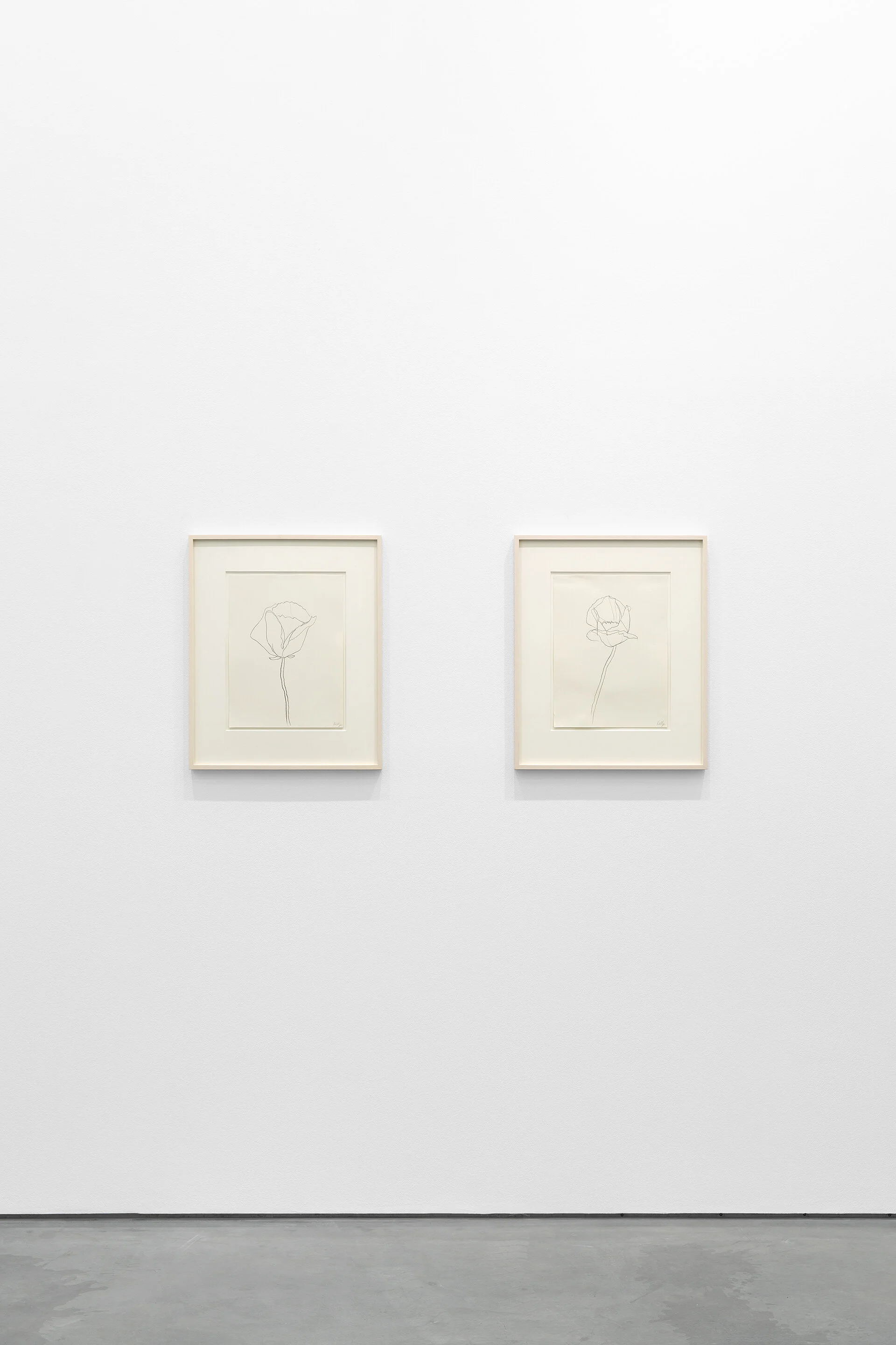Ellsworth Kelly - Forms, Lines and Curves Peder Lund Gallery, Oslo, 2019 © 2019 Ellsworth Kelly Foundation - Courtesy Peder Lund