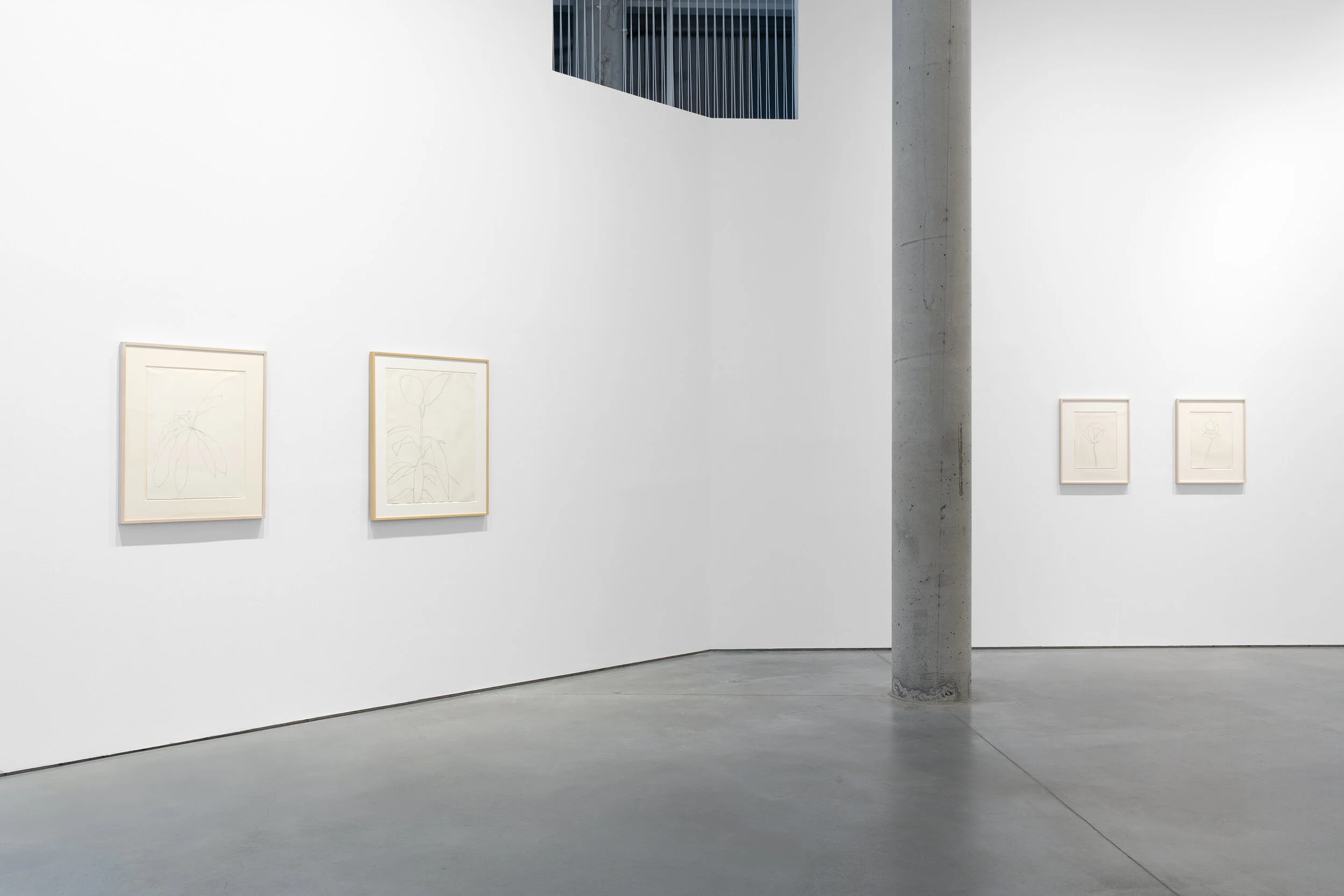 Ellsworth Kelly - Forms, Lines and Curves Peder Lund Gallery, Oslo, 2019 © 2019 Ellsworth Kelly Foundation - Courtesy Peder Lund