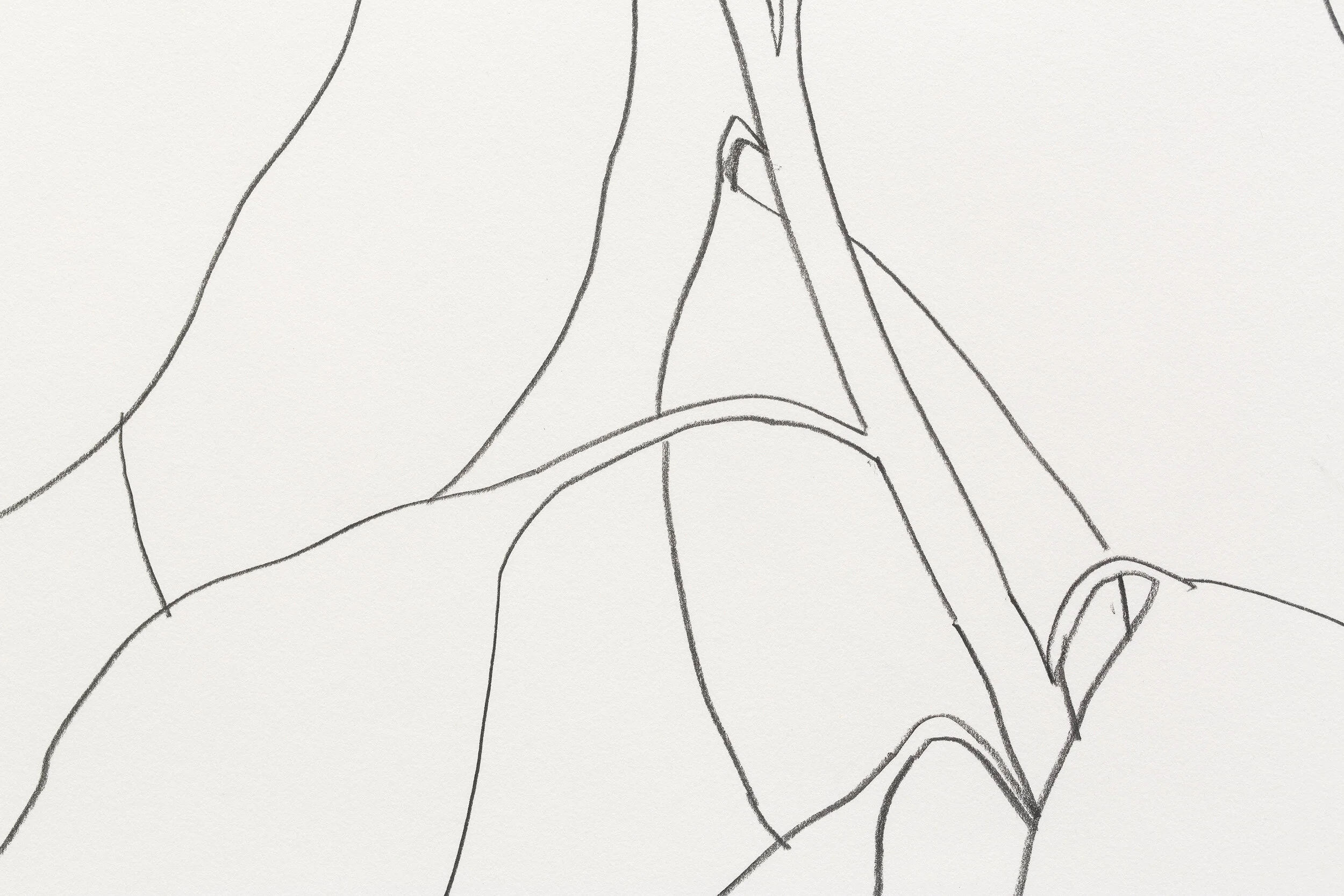 Ellsworth Kelly - Forms, Lines and Curves Peder Lund Gallery, Oslo, 2019 Avocado, 1967 © 2019 Ellsworth Kelly Foundation, Courtesy Private Collection and Peder Lund